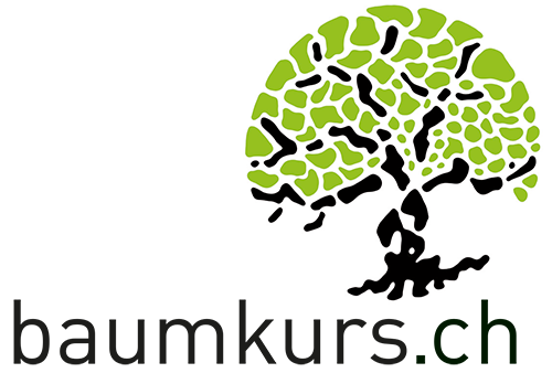 Baumkurs Logo